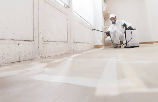 24/7 Emergency Mold Cleanup experts in Hesston, PA